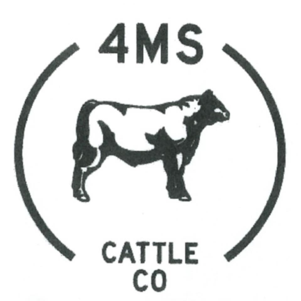 4MS Cattle Company
